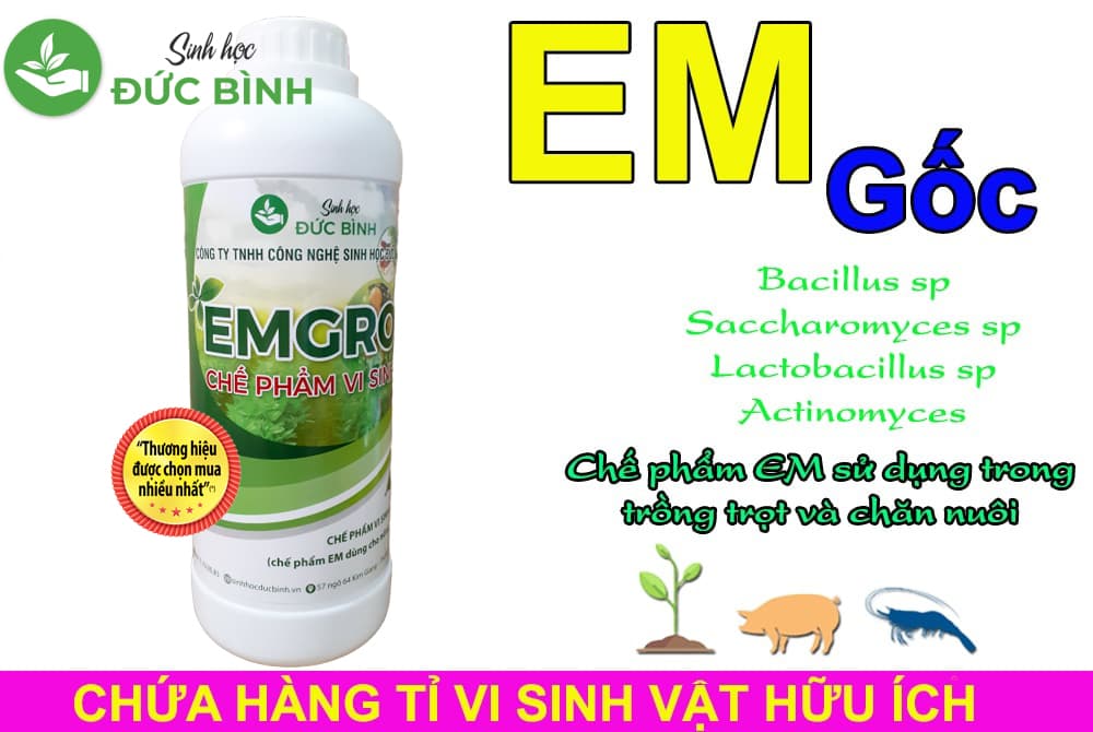 Chế phẩm sinh học EM gốc