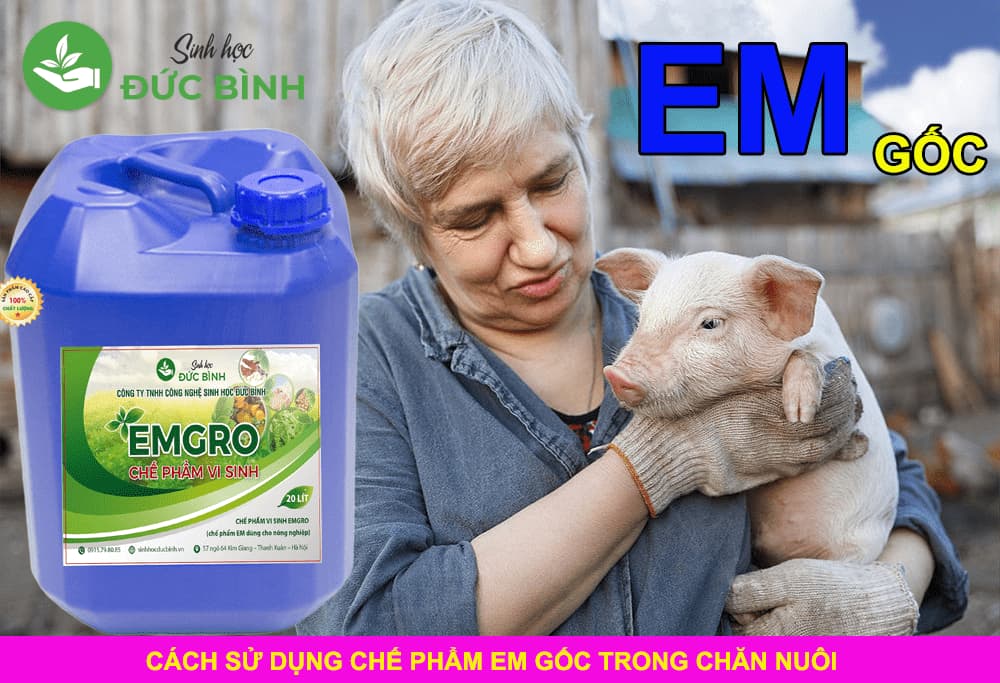 Cách sử dụng chế phẩm EMGRO trong chăn nuôi