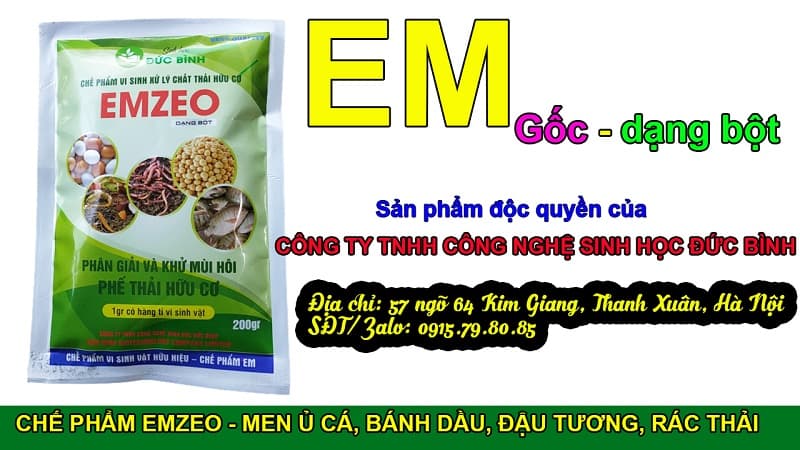 EM GỐC DẠNG BỘT