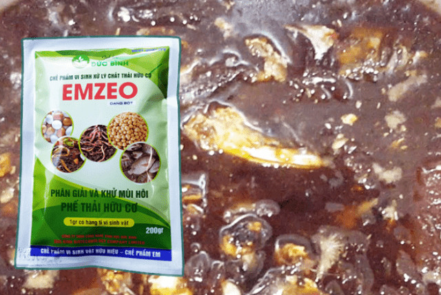 Emzeo là loại men ủ cá sinh học tốt nhất hiện nay