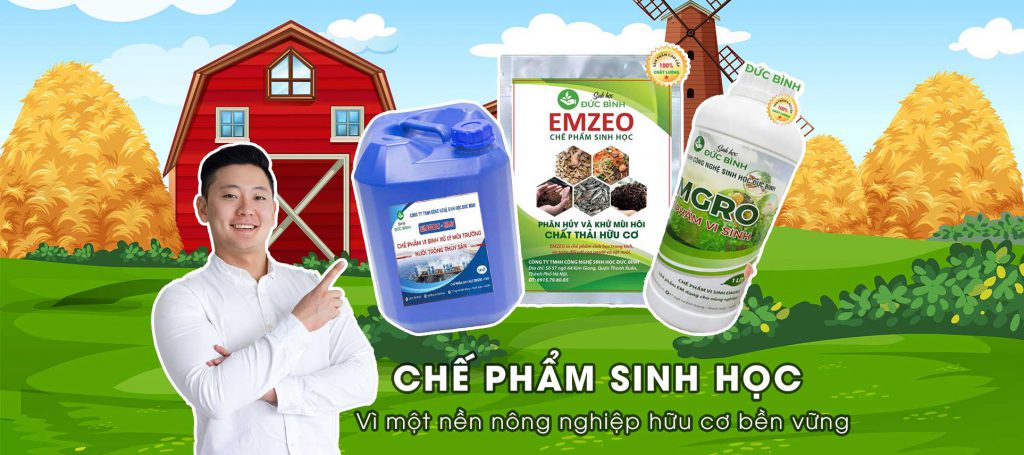 Chế phẩm vi sinh vật hữu hiệu - Chế phẩm EM gốc