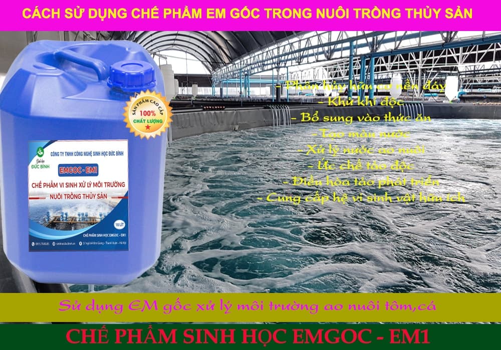Chế phẩm EM gốc -EM1 sử dụng rất đơn giản và hiệu quả cao