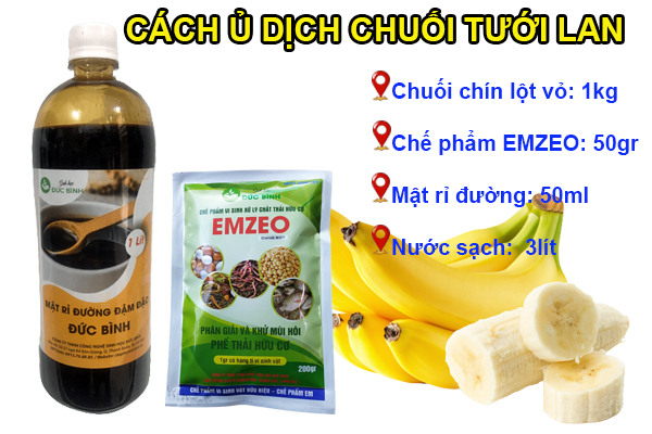 Cách làm dịch chuối tưới lan