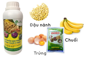 Cách làm dịch chuối ủ humic