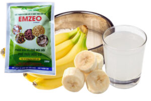 Cách làm dịch chuối với nước vo gạo