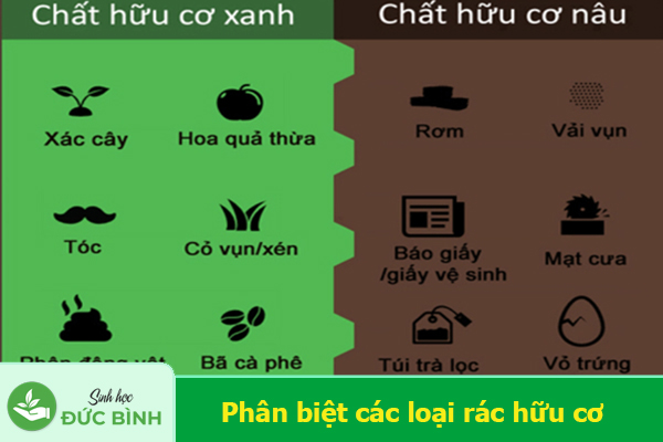 Phân biệt các loại rác hữu cơ