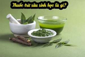 Thuốc trừ sâu sinh học là gì? Các loại thuốc trừ sâu sinh học hiện nay