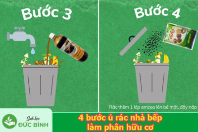 Cách ủ rác nhà bếp với Emzeo, mật rỉ đường dẽ làm, ai cũng có thể thực hiện được