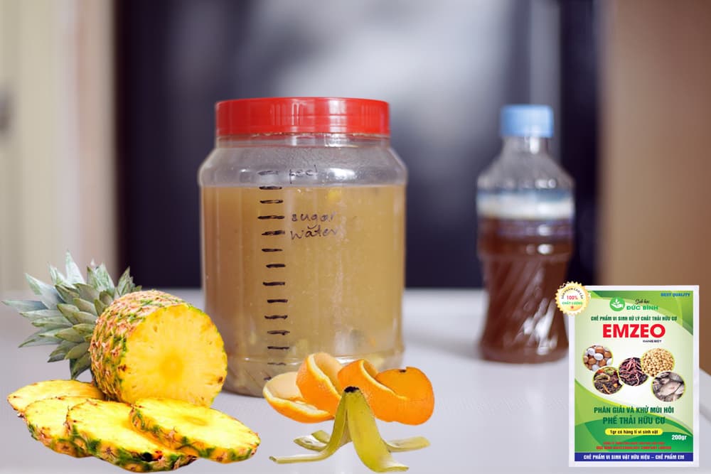 Cách làm GE tưới lan và hoa hồng (Garbage enzyme tạo ra từ rác thải hữu cơ)