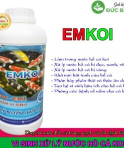 Chế phẩm vi sinh EMKOI xử lý nước hồ cá koi