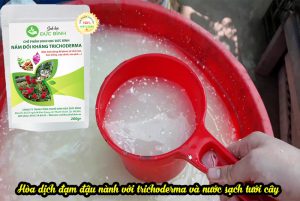 Cách sử dụng phân ủ từ bã đậu nành