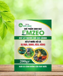 Vi sinh xử lý nước hồ cá cảnh