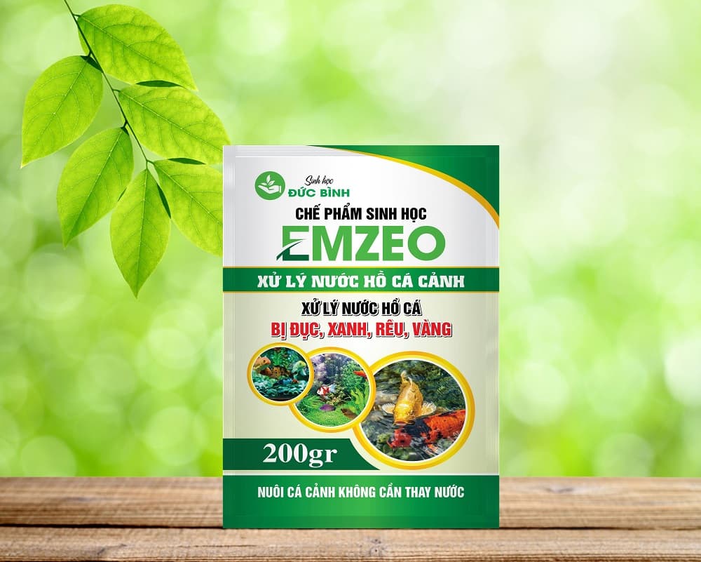 Vi sinh xử lý nước hồ cá cảnh