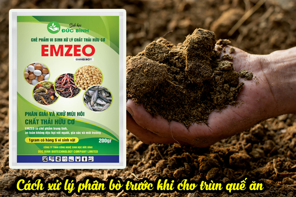 Cách ủ thức ăn cho trùn quế ăn đơn giản