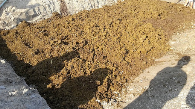 Cách ủ vỏ cà phê, vỏ trấu, vỏ lạc không khó