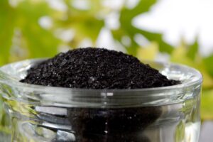 Humic là gì? Cách sử dụng Humic bón cây hiệu quả