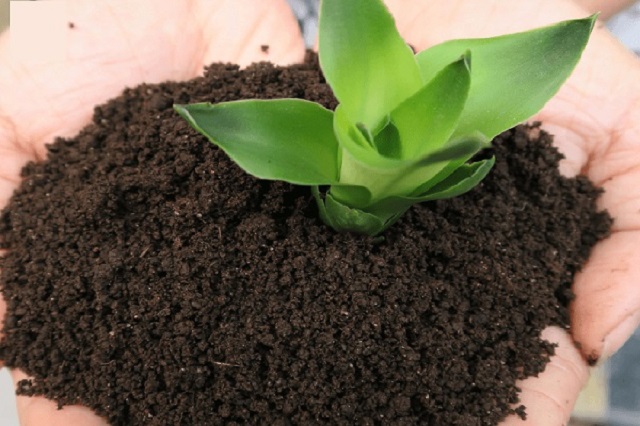 Kết quả ta thu được đất tơi xốp, phì nhiêu hơn