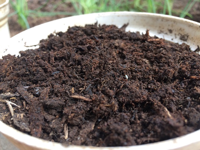 Lưu ý trong cách ủ phân chuồng