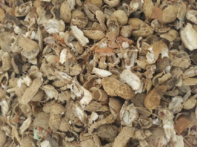 Vỏ lạc ủ hoai mục có nguồn khoáng chất tốt cho cây