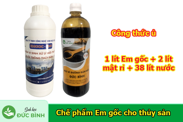 Cách sử dụng chế phẩm Em trong nuôi trồng thủy sản đơn giản nhưng đem lại hiệu quả bất ngờ