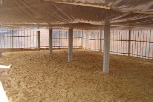 Đệm lót sinh học là gì và công dụng