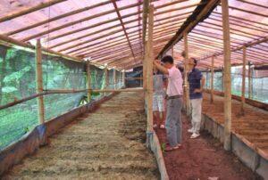 Nuôi trùn quế để làm gì?