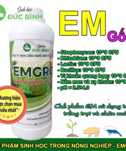 Sử dụng chế phẩm vi sinh trong chăn nuôi