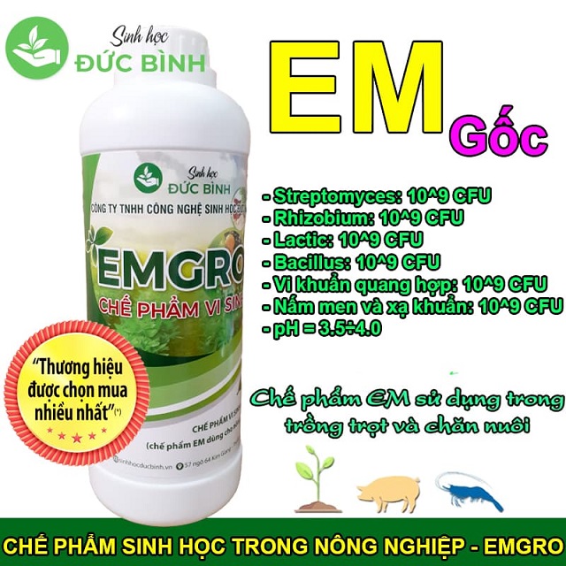 Sử dụng chế phẩm vi sinh trong chăn nuôi