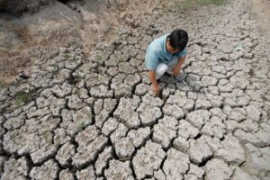 Sử dụng phân bón hóa học bừa bãi gây ra tình trạng đất bạc màu