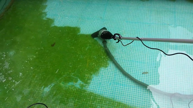 Vệ sinh hồ Koi thường xuyên