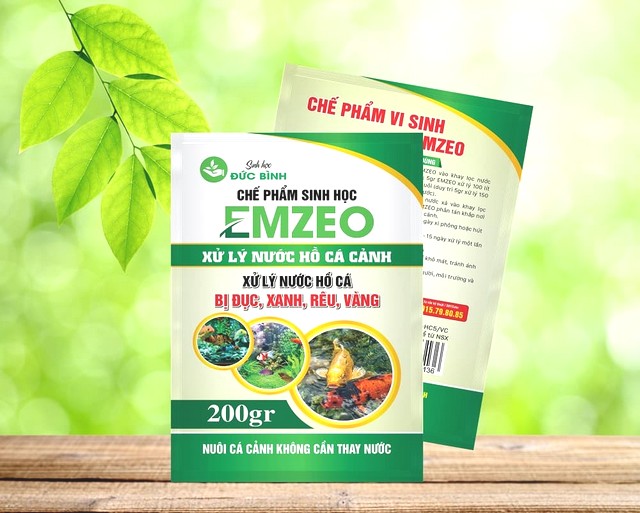 Xử lý nước hồ cá bị rêu bằng men vi sinh EMZEO Đức Bình