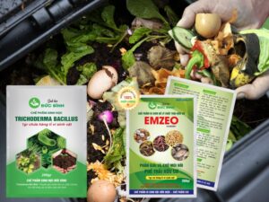 Cách ủ phân xanh nhanh nhất