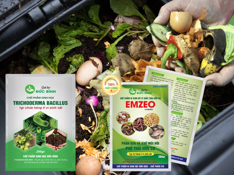 Cách ủ phân xanh nhanh nhất