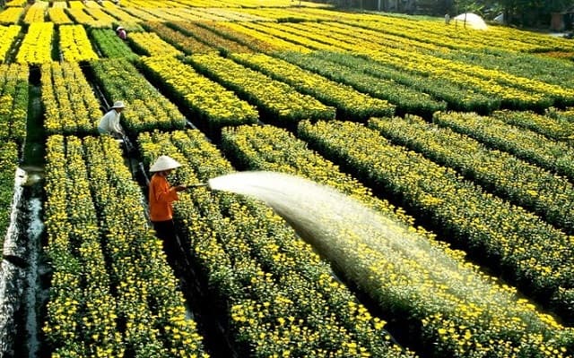 Chú ý loại cây trồng để có cách bón phân phù hợp