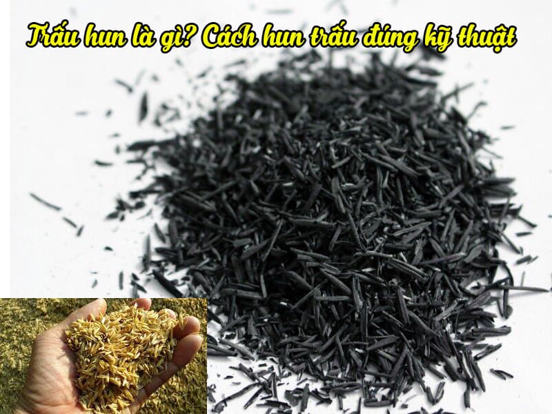 Cách hun trấu đúng kỹ thuật