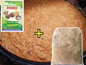 Cách ủ bánh dầu không hồi nhờ chế phẩm EM ( EMZEO)