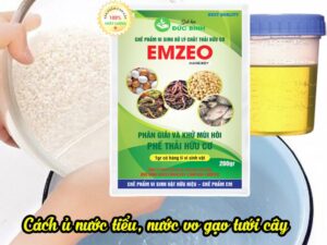 Cách ủ nước vo gạo, nước tiểu tưới cây