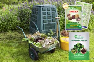 Kỹ thuật ủ phân xanh và sử dụng hiệu quả nhất