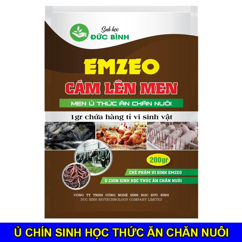 Men ủ thức ăn chăn nuôi