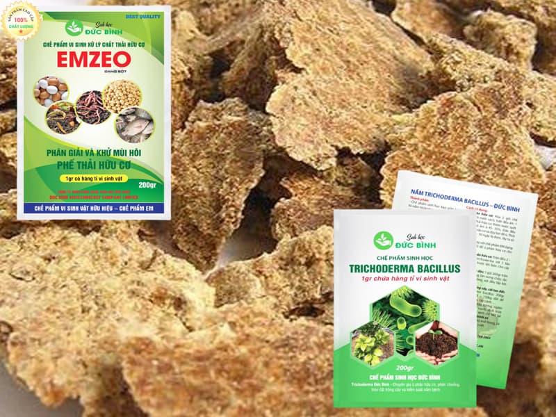 Phân bánh dầu là gì