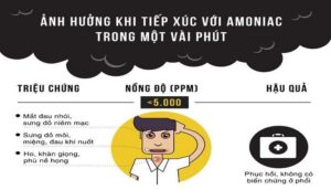 Xử lý mùi hôi chuồng gà có quan trọng không?