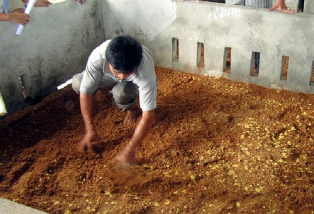 Những vấn đề khi làm nuôi heo bằng đệm lót sinh học