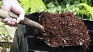 Chuẩn bị nguyên liệu cần thiết cho quá trình ủ phân