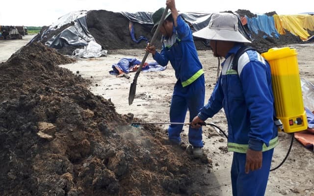 Định kỳ kiểm tra, đào xới và cấp ẩm cho phân ủ