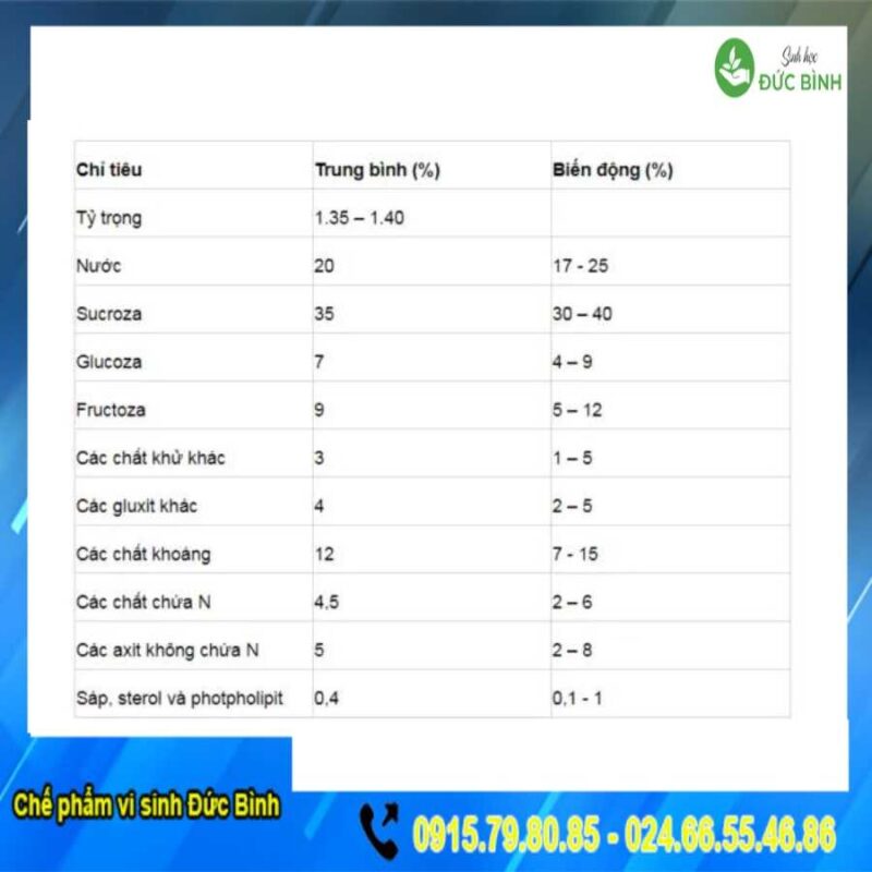 MẬT RỈ ĐƯỜNG ĐẬM ĐẶC