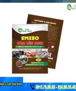 Men vi sinh ủ thức ăn chăn nuôi