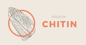 Cá chép thích những đồ ăn liên quan mật thiết với Chitin