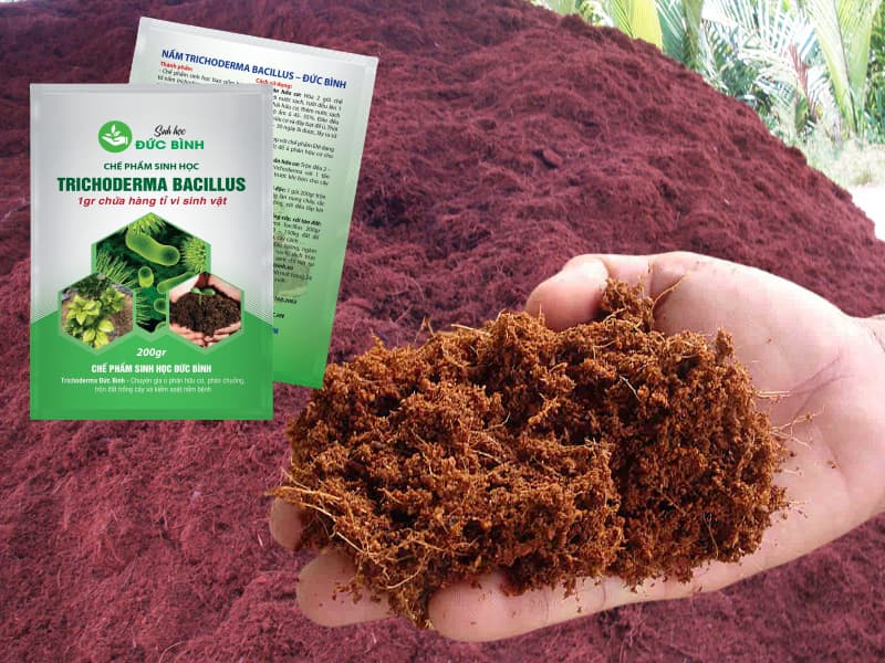 Cách ủ xơ dừa bằng nấm trichoderma nhanh hoai mục bón cây hiệu quả cao