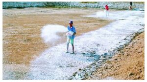 Kỹ thuật nuôi cá trắm cỏ đúng cách