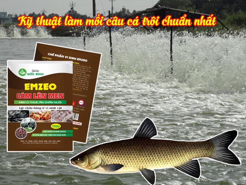 Những khu vực thường có nhiều cá trôi